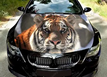 Дизайн животного Тигра Виниловая наклейка на капот автомобиля Оберните пленкой крышку двигателя, защитите наклейку на автоаксессуары, украшение, подарок